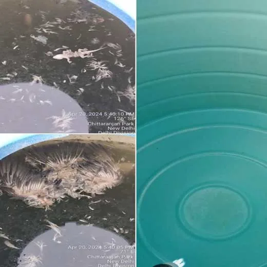 Water Tank Cleaning